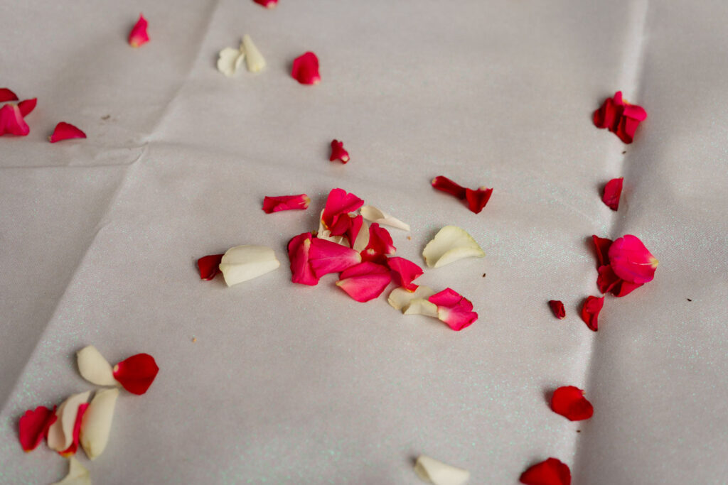 Rote und weiße Rosenblütenblätter auf Stoff.